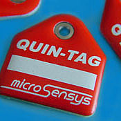 Q-Tag: QUIN-TAGspecial